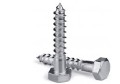 Stainless steel 316 anodized bolts